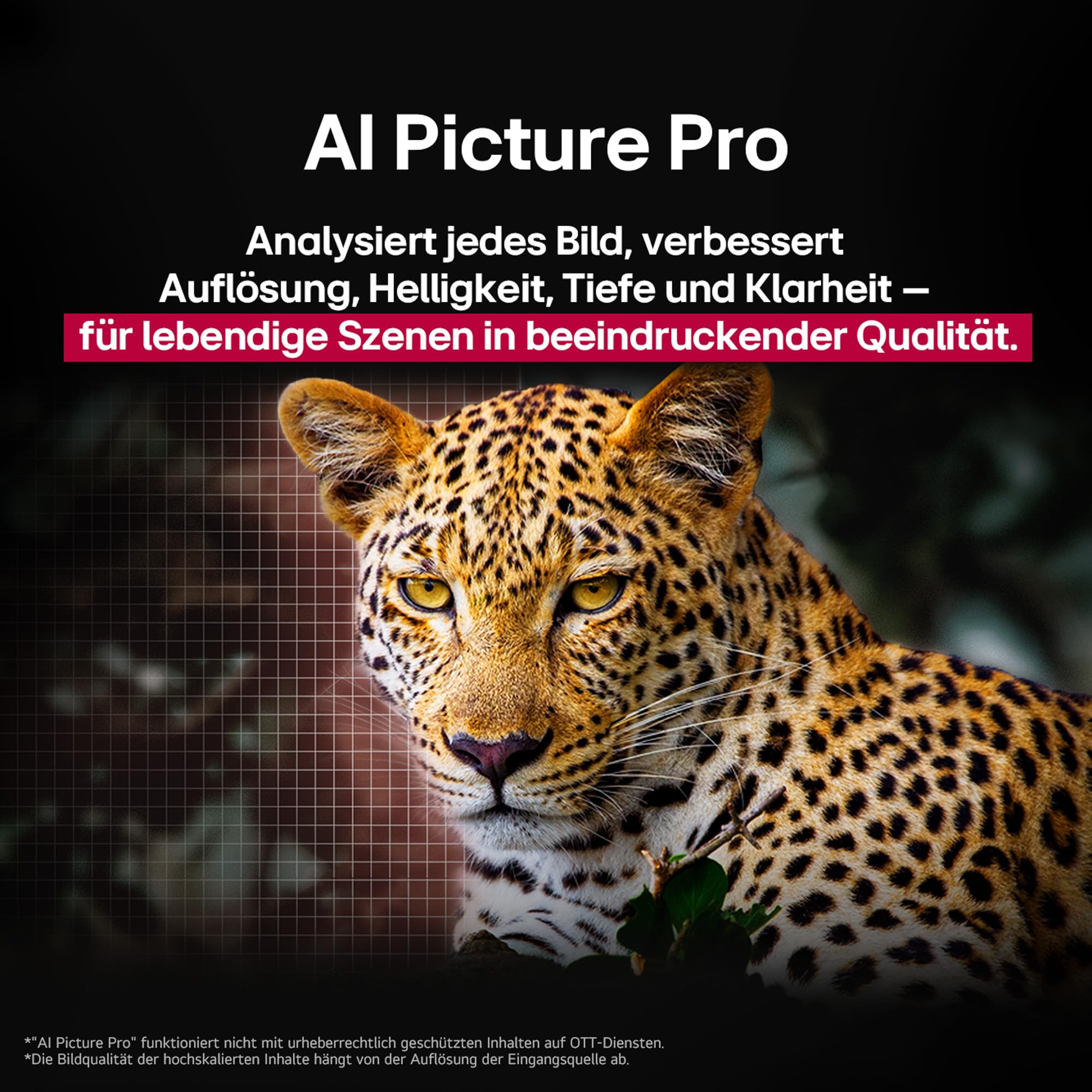 LG OLED65C5ELB 65 Zoll 4K OLED evo AI TV, 120Hz, Dolby Vision/Atmos