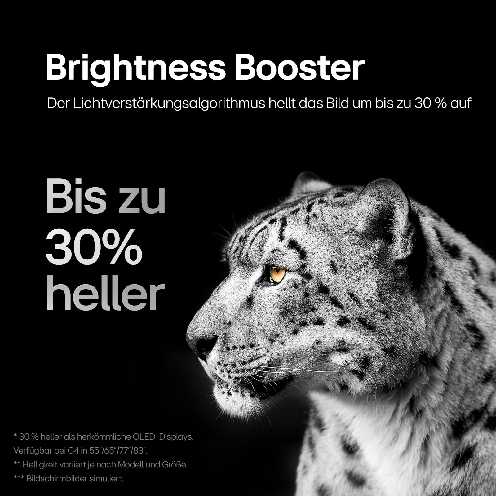 LG OLED65C5ELB 65 Zoll 4K OLED evo AI TV, 120Hz, Dolby Vision/Atmos