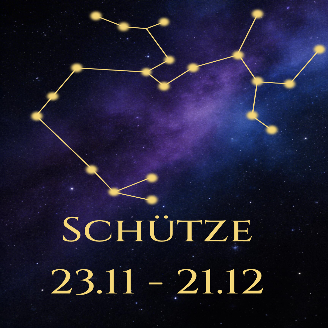 Handyhülle Sternzeichen Tierkreis Design – Soft TPU mit Aluminiumplatte