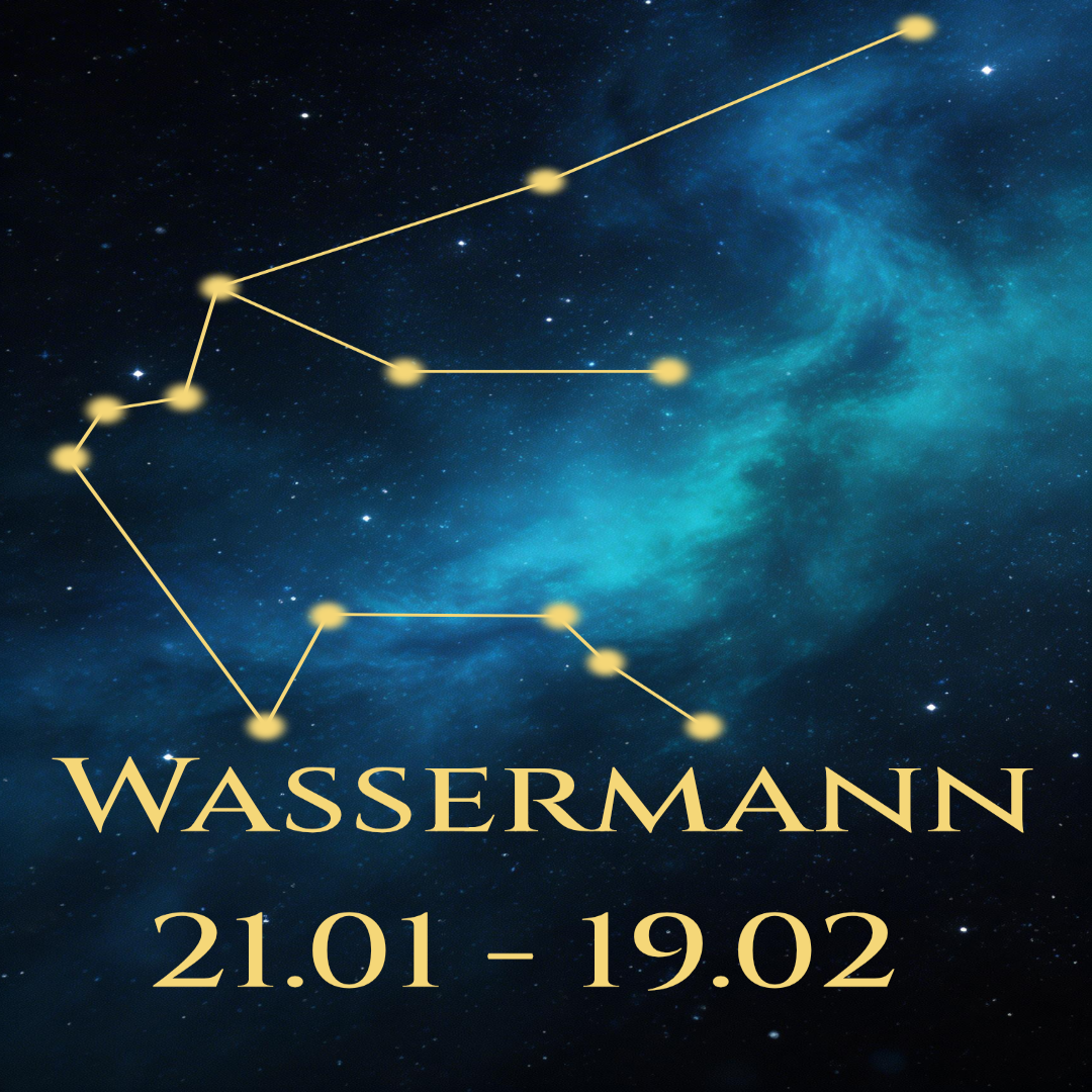 Handyhülle Sternzeichen Tierkreis Design – Soft TPU mit Aluminiumplatte